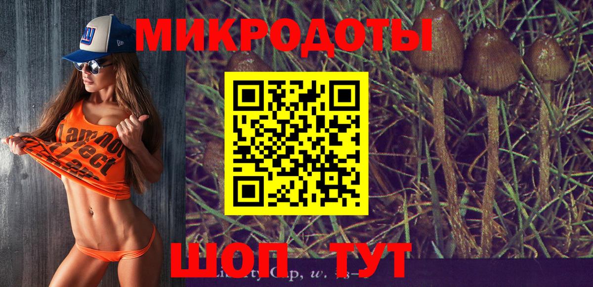 Псилоцибиновые грибы Cubensis  Галлюциногенные грибы мицелий  Красноперекопск  Вход с VPN 