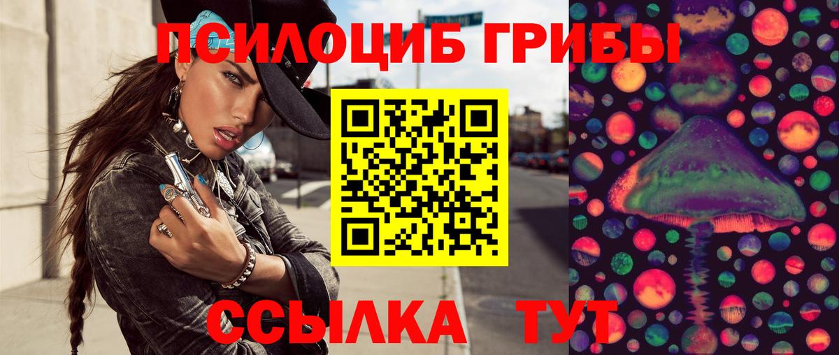 Псилоцибиновые грибы GOLDEN TEACHER Красноперекопск